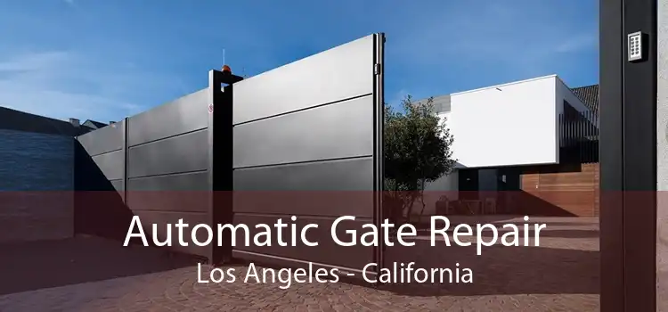 Automatic Gate Repair Los Angeles - California