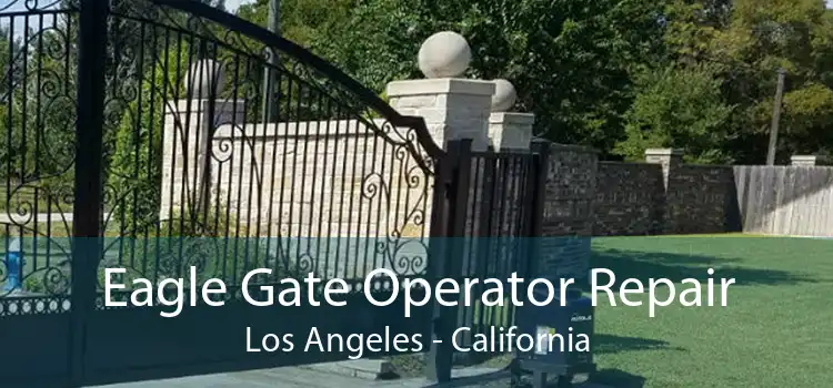 Eagle Gate Operator Repair Los Angeles - California