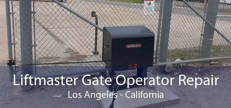 Liftmaster Gate Operator Repair Los Angeles - California